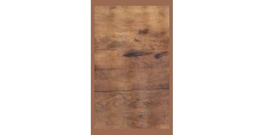 Table basse ARIZONA plateau en bois foncé, pieds en acier. Idéal pour votre salon.