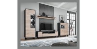 Ensemble de meubles de salon collection OASIS. Style design.