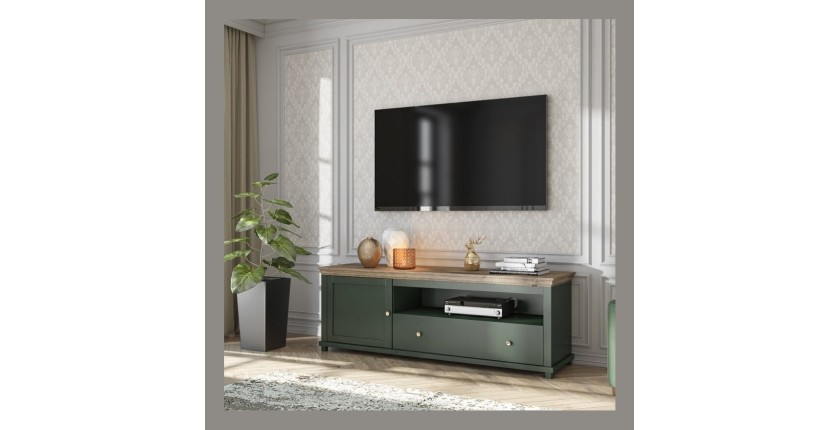 Ensemble de 5 meubles pour votre salon coloris vert et chêne. Collection ASSIA