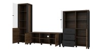Ensemble de 3 meubles de salon collection DARWIN. Couleur chêne foncé et noir.