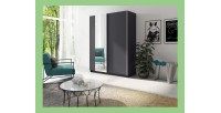 Armoire, garde robe 150cm coloris gris graphite collection GOZU. Deux portes coulissantes. Dressing complet avec miroir.