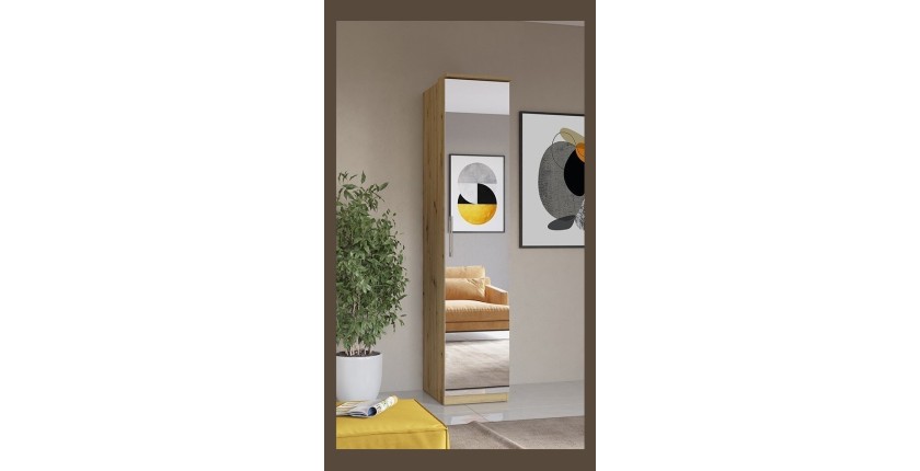 Armoire 1 porte avec miroir pour dressing collection MODULO coloris chêne avec LED incluses.
