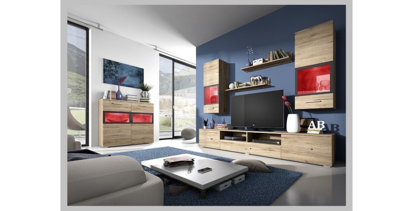 Composition de 5 meubles design pour salon couleur chêne et gris anthracite collection CONNOR