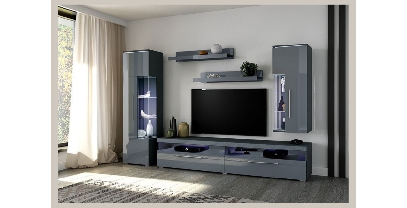 Composition de 5 meubles pour salon coloris gris brillant collection BOMBAY