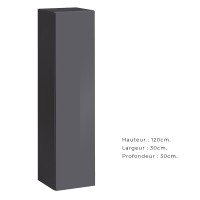 Armoire suspendue coloris gris 30x120cm pour salon collection SWITCH.