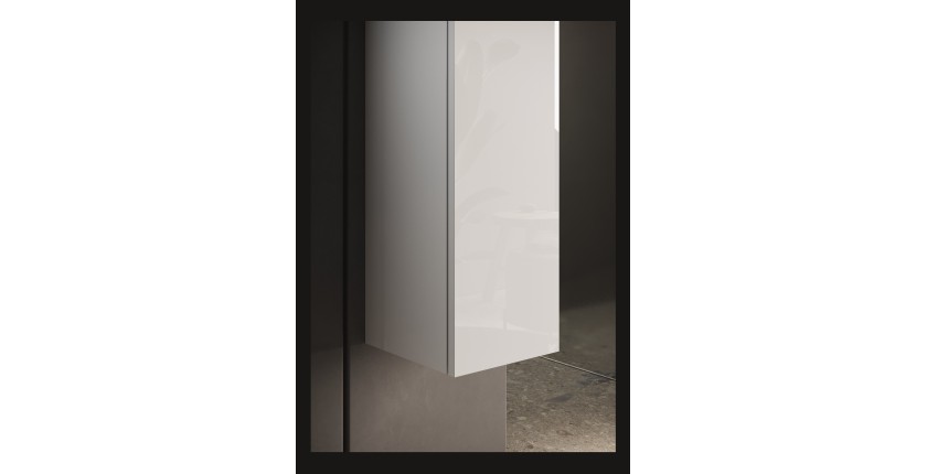 Meuble de salle de bain suspendu, 1porte, collection CISA. Coloris blanc brillant
