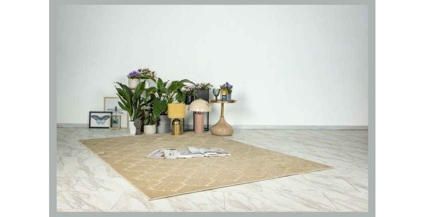 Tapis 150x80cm, design A102A coloris beige - Confort et élégance pour votre intérieur