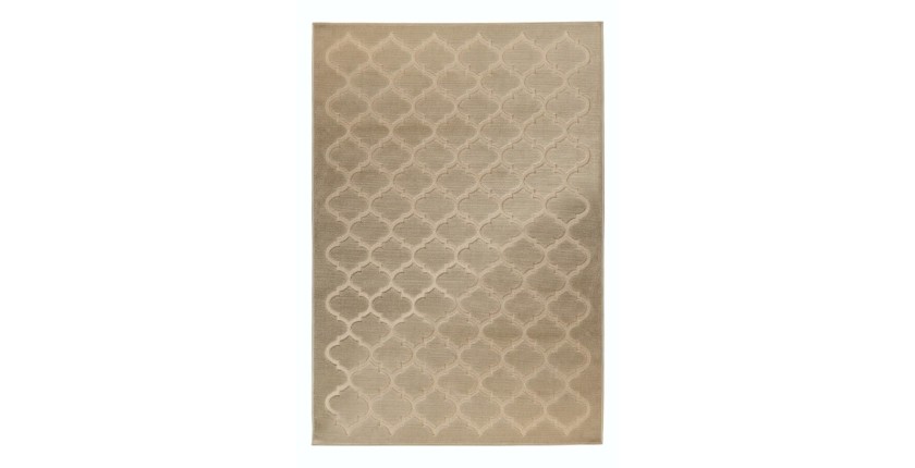 Tapis 290x200cm, design A102A coloris beige - Confort et élégance pour votre intérieur