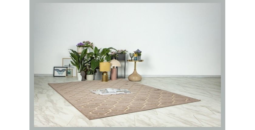 Tapis 300x80cm, design A102A coloris taupe - Confort et élégance pour votre intérieur