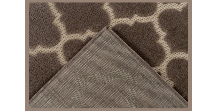 Tapis 230x160cm, design A102A coloris taupe - Confort et élégance pour votre intérieur