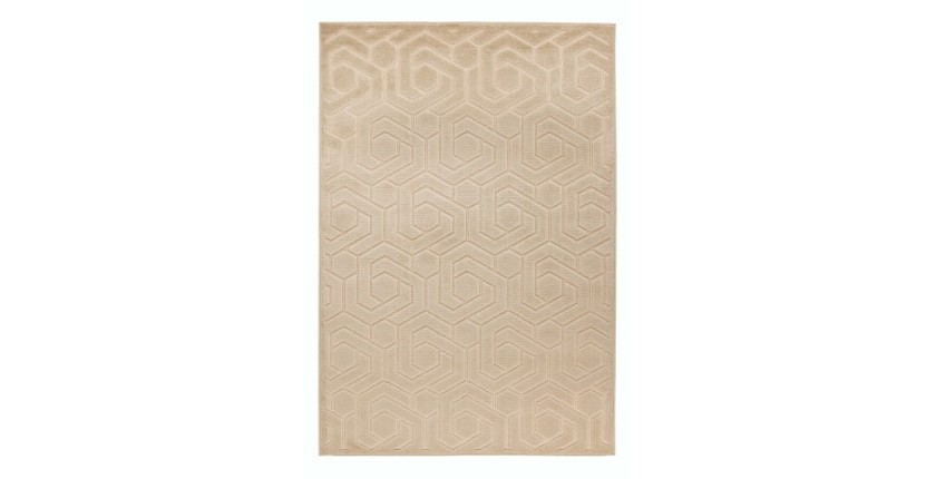 Tapis 300x80cm, design A202A coloris beige - Confort et élégance pour votre intérieur