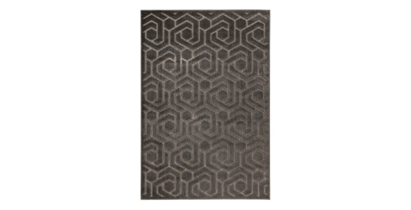 Tapis 150x80, design A202A coloris gris - Confort et élégance pour votre intérieur