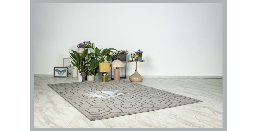 Tapis 290x200cm, design A202A coloris gris - Confort et élégance pour votre intérieur