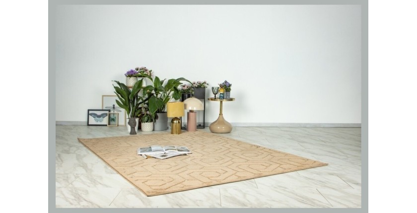 Tapis 150x80cm, design A202A coloris taupe - Confort et élégance pour votre intérieur