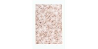 Tapis 150x80cm, design B005O coloris beige - Confort et élégance pour votre intérieur