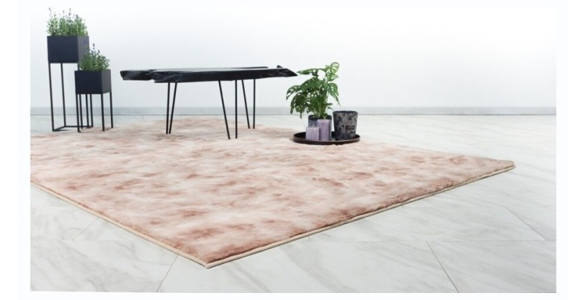 Tapis 170x120cm, design B005O coloris beige - Confort et élégance pour votre intérieur