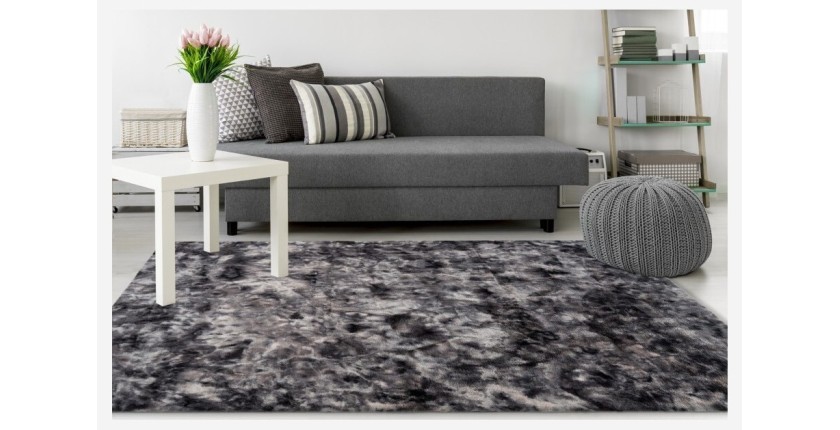 Tapis 230x160cm, design B005O coloris graphite - Confort et élégance pour votre intérieur