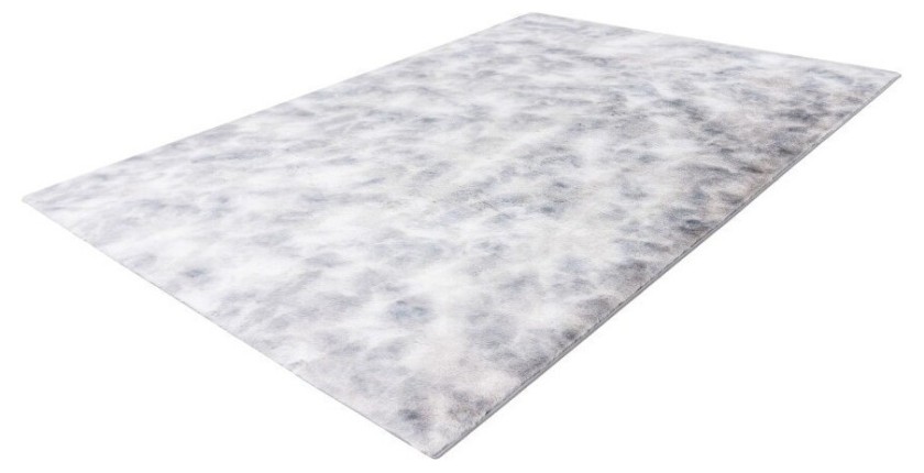 Tapis 230x160cm, design B005O coloris gris - Confort et élégance pour votre intérieur