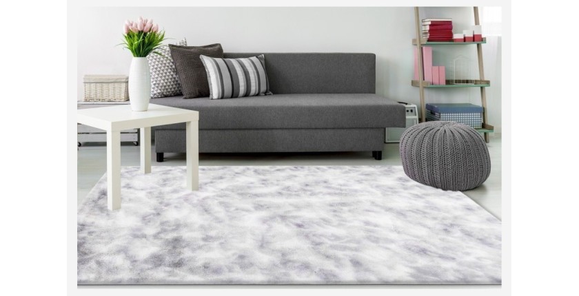 Tapis 230x160cm, design B005O coloris gris - Confort et élégance pour votre intérieur