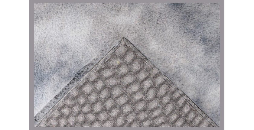 Tapis 230x160cm, design B005O coloris gris - Confort et élégance pour votre intérieur