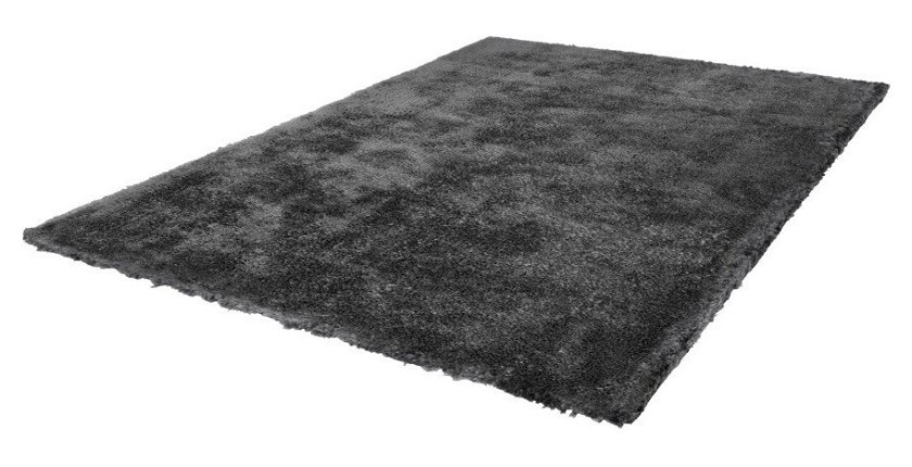 Tapis 290x200cm, design C005D coloris anthracite - Confort et élégance pour votre intérieur