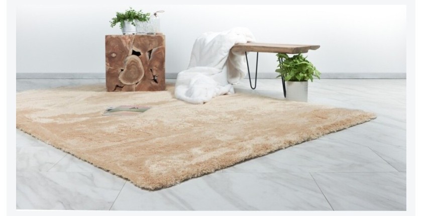 Tapis 150x80cm, design C005D coloris sable - Confort et élégance pour votre intérieur