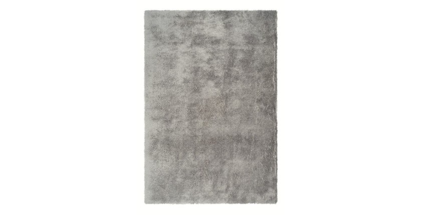 Tapis 170x120cm, design C005D coloris argent - Confort et élégance pour votre intérieur