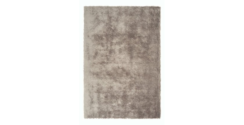 Tapis 150x80cm, design C005D coloris taupe - Confort et élégance pour votre intérieur