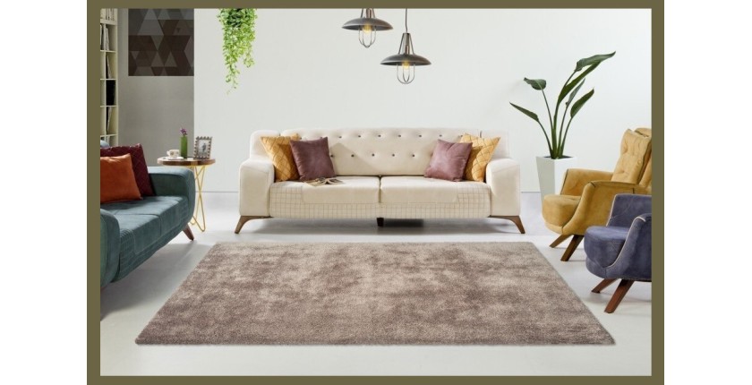 Tapis 290x200cm, design C005D coloris taupe - Confort et élégance pour votre intérieur