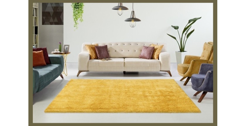 Tapis 230x160cm, design C005D coloris jaune - Confort et élégance pour votre intérieur