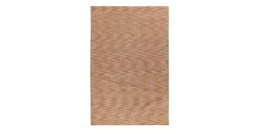 Tapis 230x160cm, design C007Y coloris beige - Confort et élégance pour votre intérieur