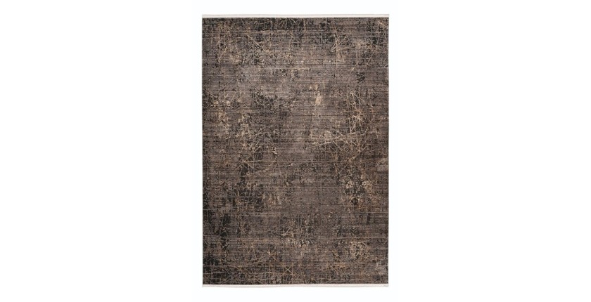 Tapis 230x160cm, design C109E coloris gris - Confort et élégance pour votre intérieur