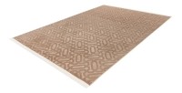 Tapis 220x160cm, design D012A coloris taupe - Confort et élégance pour votre intérieur