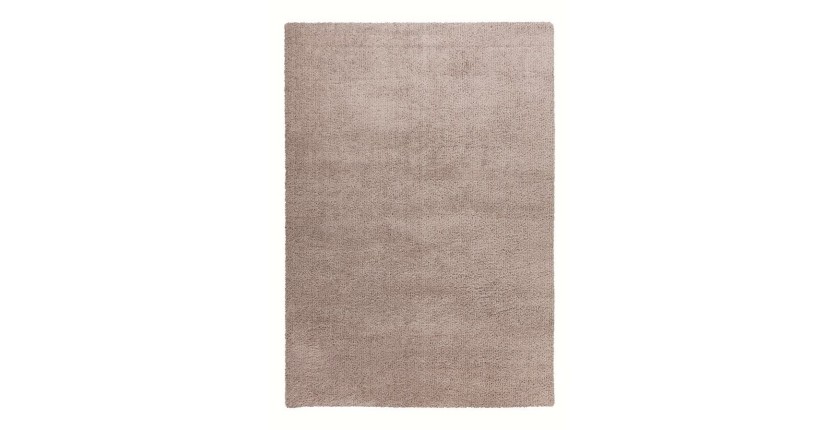 Tapis 170x120cm, design D005M coloris beige - Confort et élégance pour votre intérieur