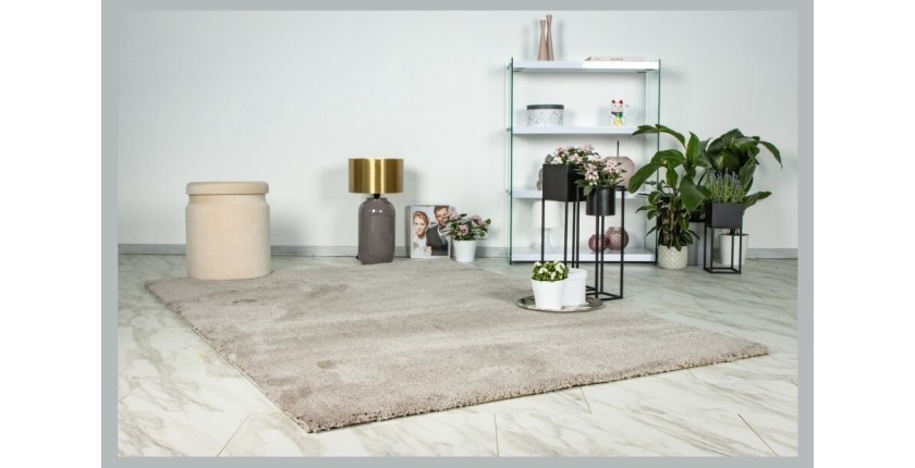 Tapis 230x160cm, design D005M coloris beige - Confort et élégance pour votre intérieur