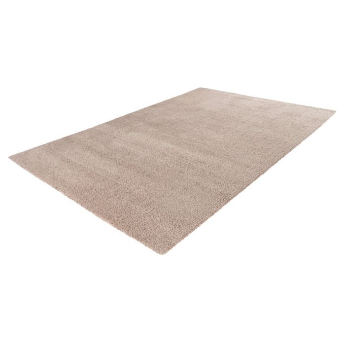 Tapis 290x200cm, design D005M coloris beige - Confort et élégance pour votre intérieur