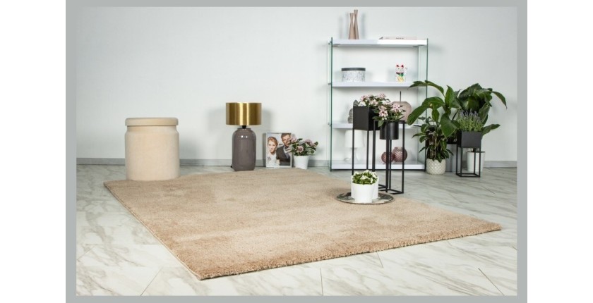 Tapis 150x80cm, design D005M coloris champagne - Confort et élégance pour votre intérieur