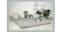 Tapis 170x120cm, design D005M coloris argent - Confort et élégance pour votre intérieur