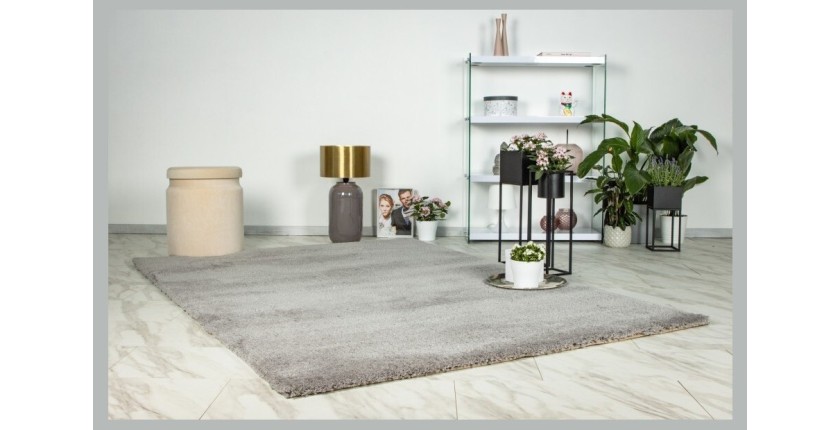 Tapis 230x160cm, design D005M coloris argent - Confort et élégance pour votre intérieur