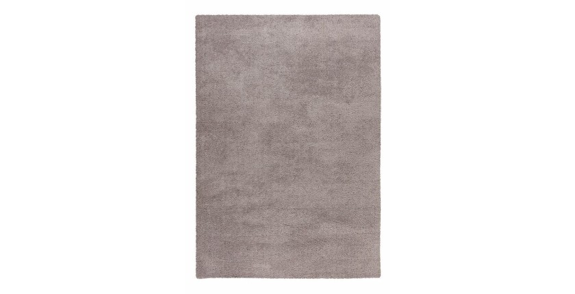 Tapis 290x200cm, design D005M coloris argent - Confort et élégance pour votre intérieur