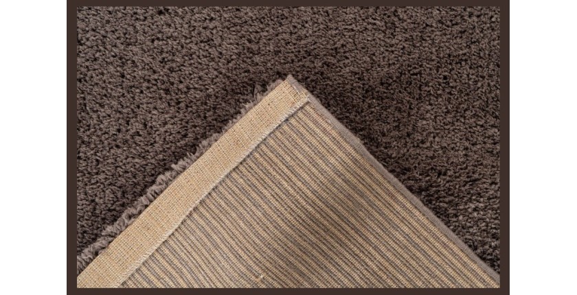 Tapis 230x160cm, design D005M coloris taupe - Confort et élégance pour votre intérieur