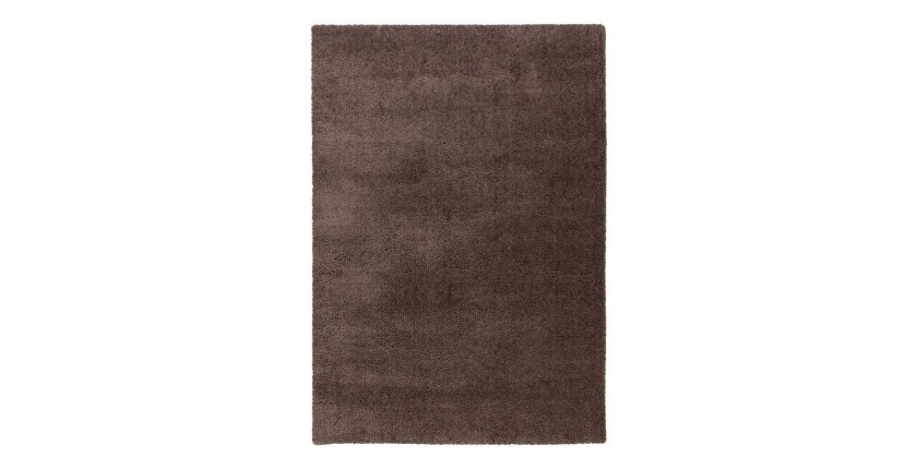 Tapis 230x160cm, design D005M coloris taupe - Confort et élégance pour votre intérieur