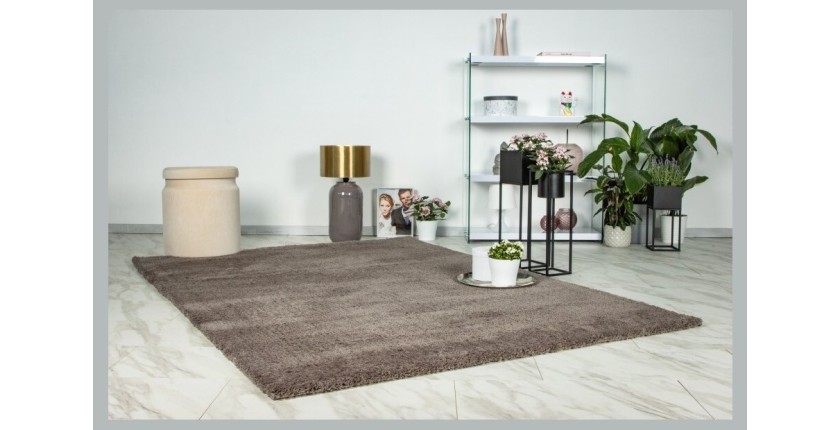 Tapis 290x200cm, design D005M coloris taupe - Confort et élégance pour votre intérieur