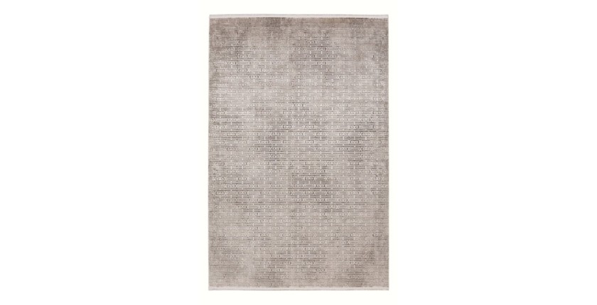 Tapis 170x120cm, design E209E coloris argent - Confort et élégance pour votre intérieur