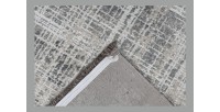 Tapis 290x200cm, design E109E coloris argent - Confort et élégance pour votre intérieur