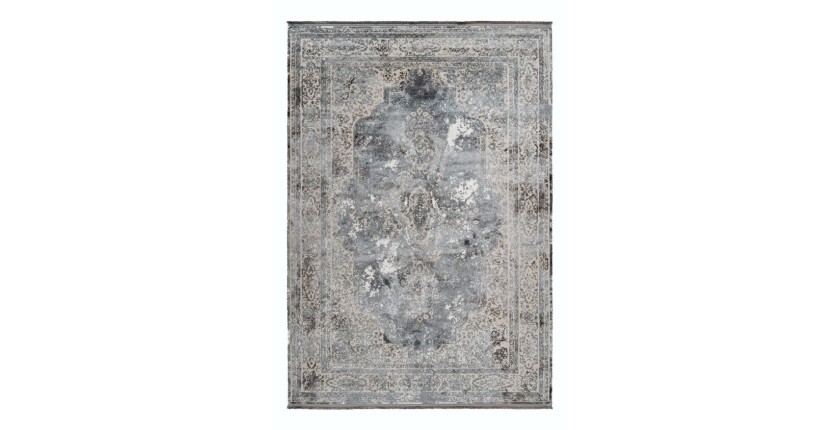 Tapis 170x120cm, design E209E coloris argent - Confort et élégance pour votre intérieur