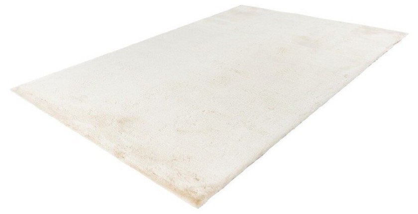 Tapis 170x120cm, design E005N coloris crème - Confort et élégance pour votre intérieur