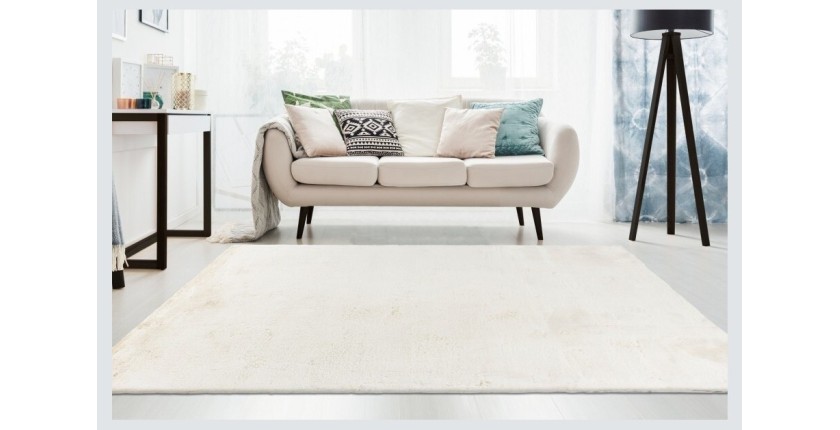 Tapis 230x160cm, design E005N coloris crème - Confort et élégance pour votre intérieur