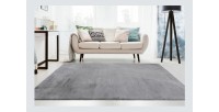 Tapis 110x60cm, design E005N coloris gris - Confort et élégance pour votre intérieur