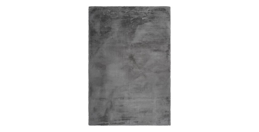 Tapis 110x60cm, design E005N coloris gris - Confort et élégance pour votre intérieur